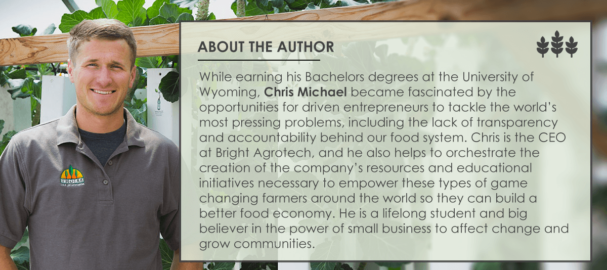 Chris-Author-Bio