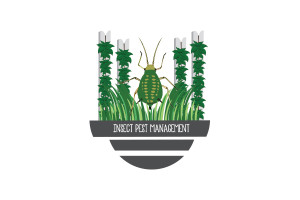 Insect Pest Management