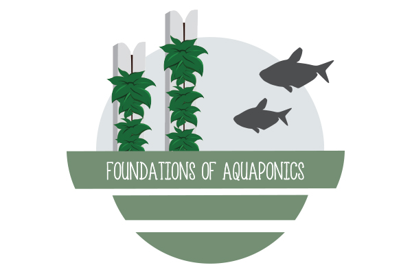 Foundations of Aquaponics Trial