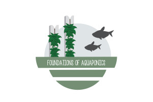 Foundations of Aquaponics