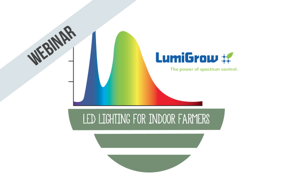 Understanding LEDs