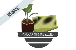 Hydroponic Substrate Selection