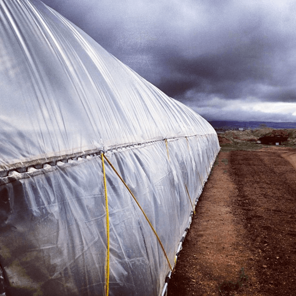 Greenhouse indoor farming industry