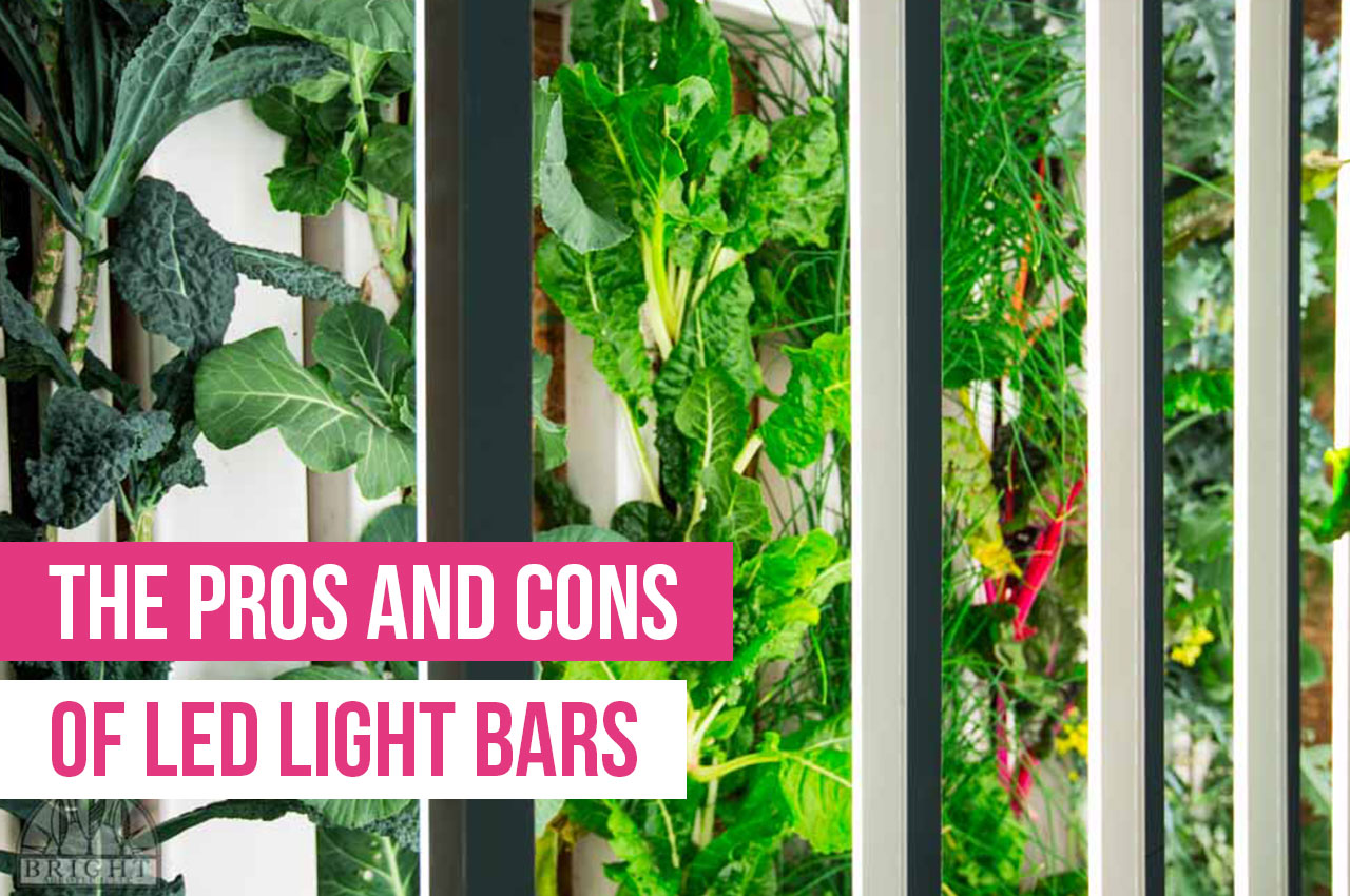 The Pros and Cons of LED Light Bars - Upstart University