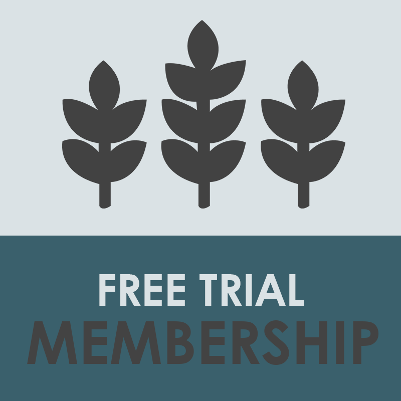 Free Trial to Upstart University