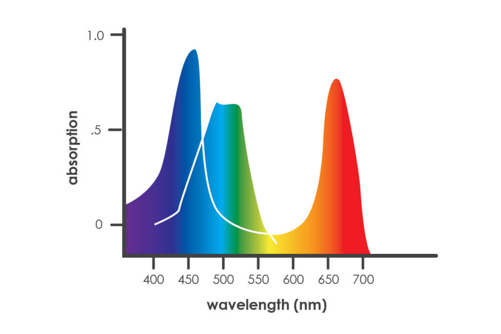 lighting for vine crops - high efficiency LEDs -spectrum