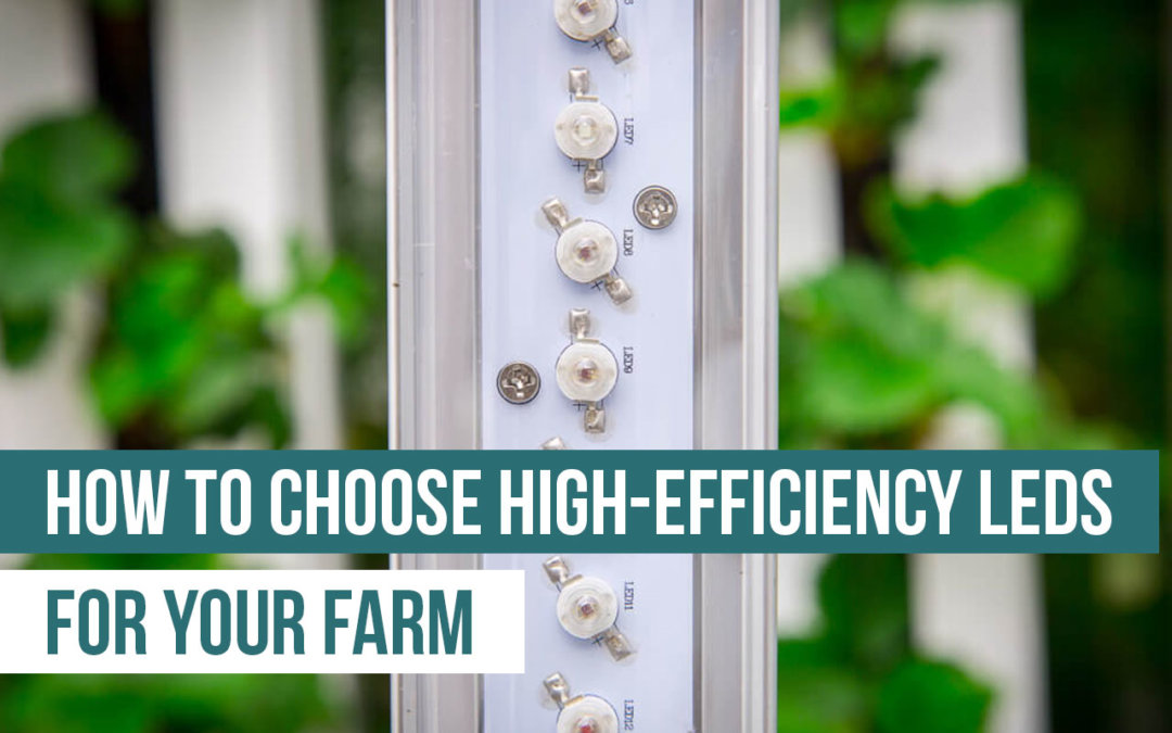 How to Choose High Efficiency LEDs for Your Farm