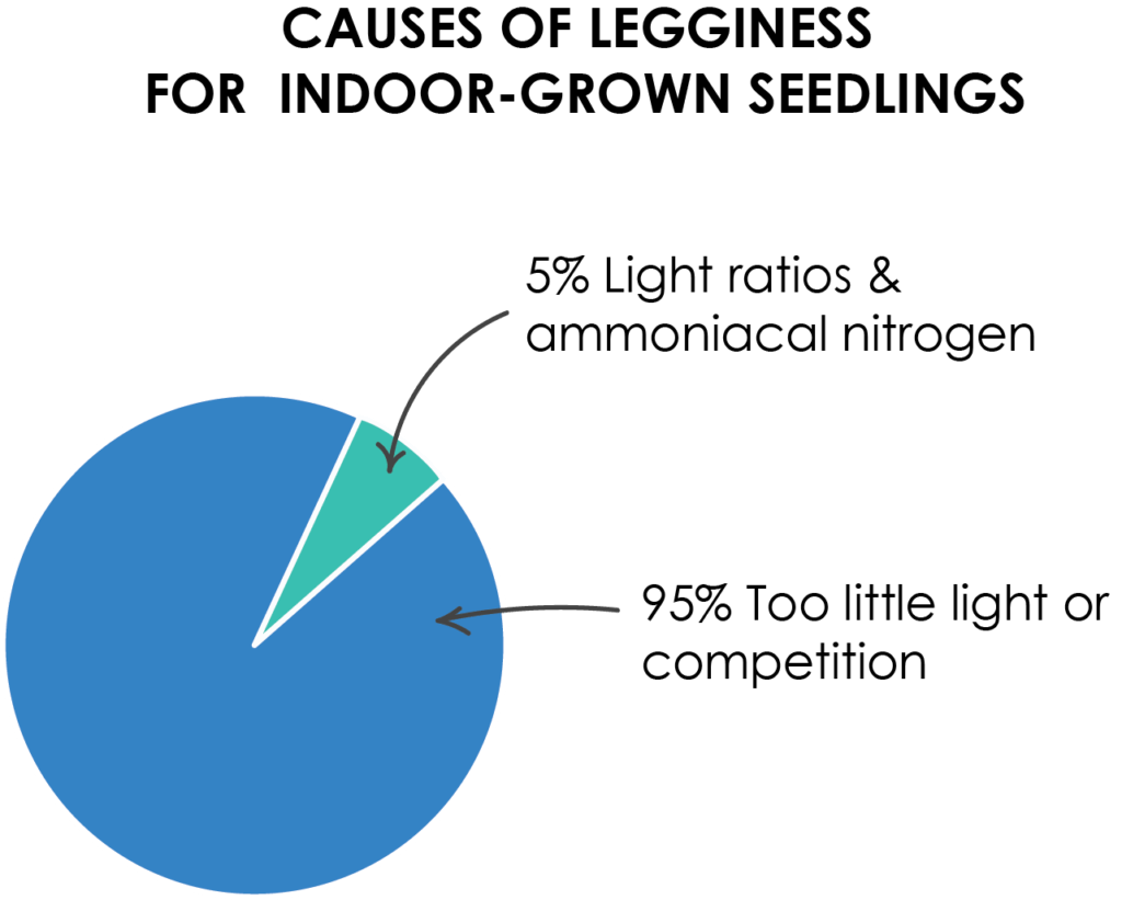 leggy seedlings - causes pie chart