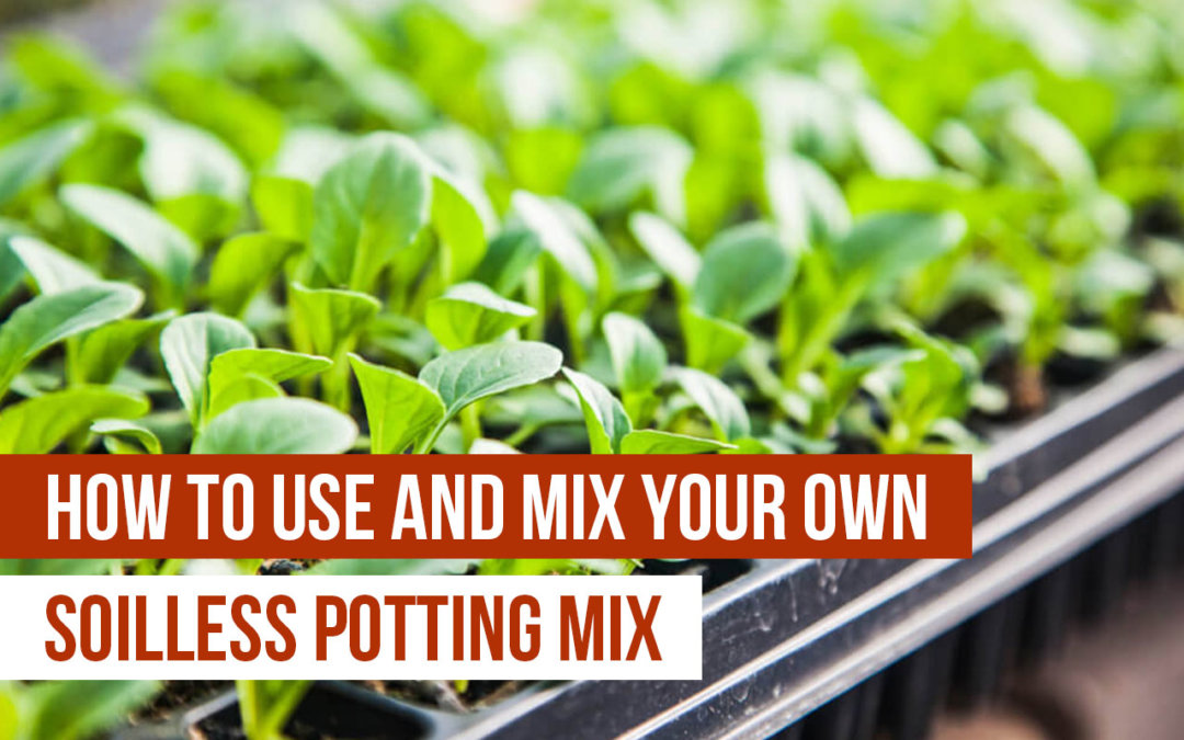 soilless potting mix