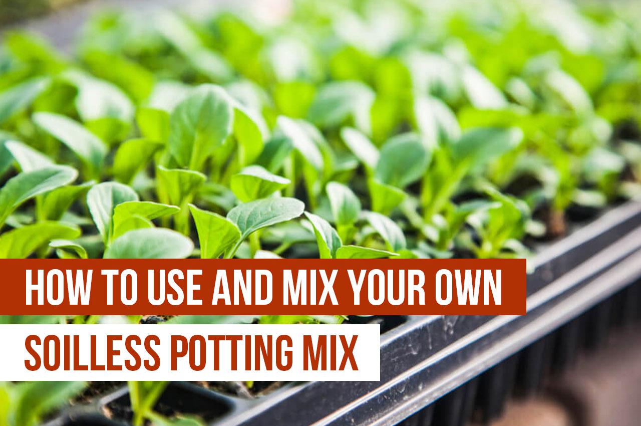 How To Use And Mix Your Own Soilless Potting Mix For Hydroponics 