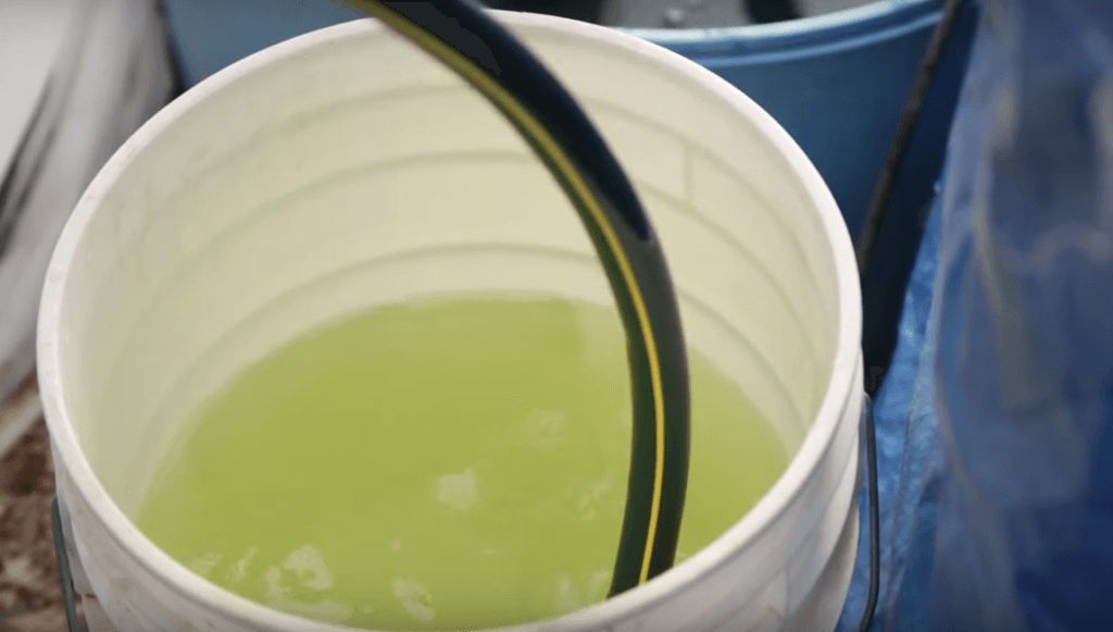 hydroponic fertilizers - mixing bucket