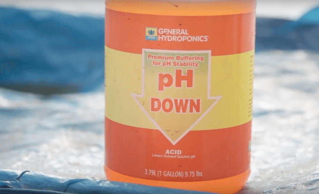 hydroponic fertilizers - pH down