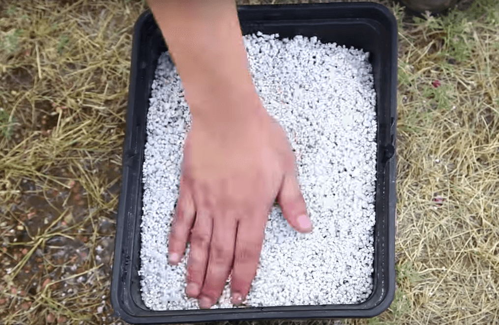 pros and cons of perlite in hydroponics