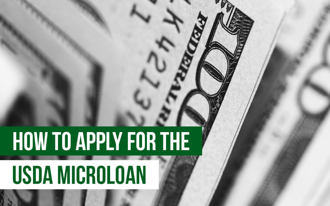 usda microloan