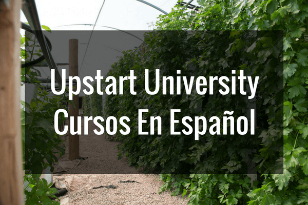 Upstart University Cursos En Español