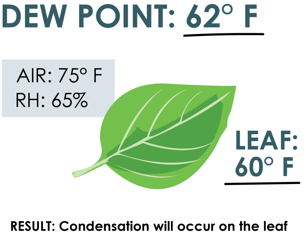 dew point - Greenhouse Humidity Control