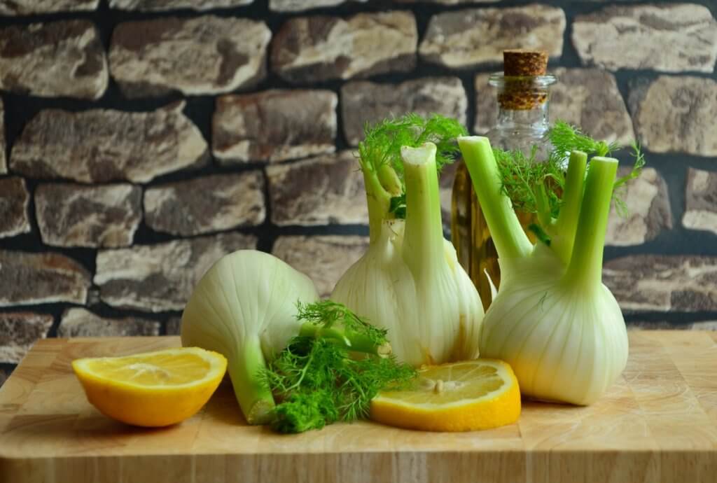 grow hydroponic fennel