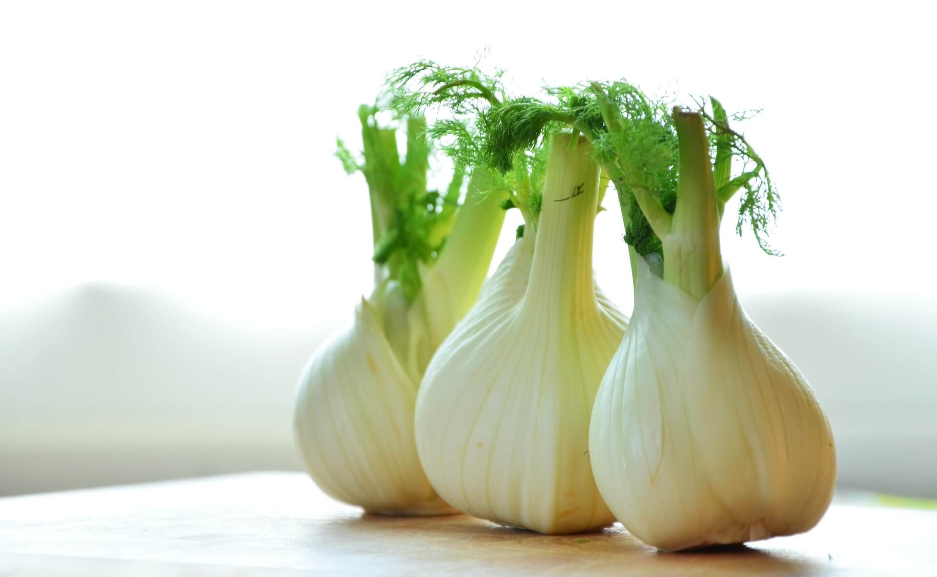 Get the Scoop on How to Grow Fennel in Hydroponics Upstart University