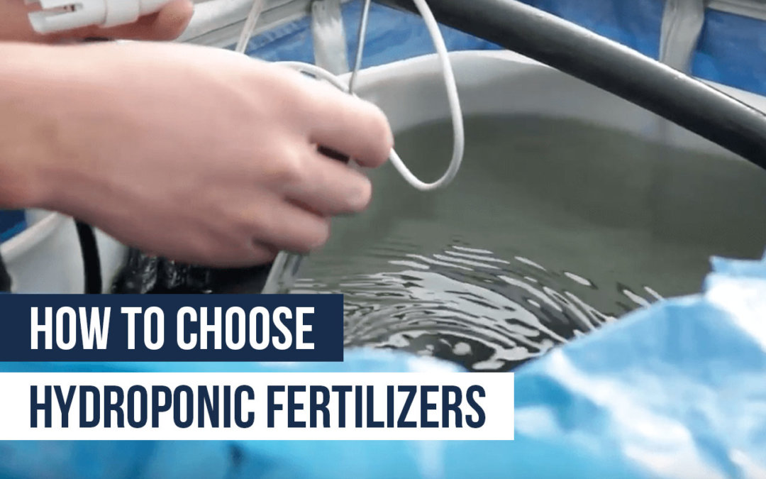 How to Choose Hydroponic Fertilizers