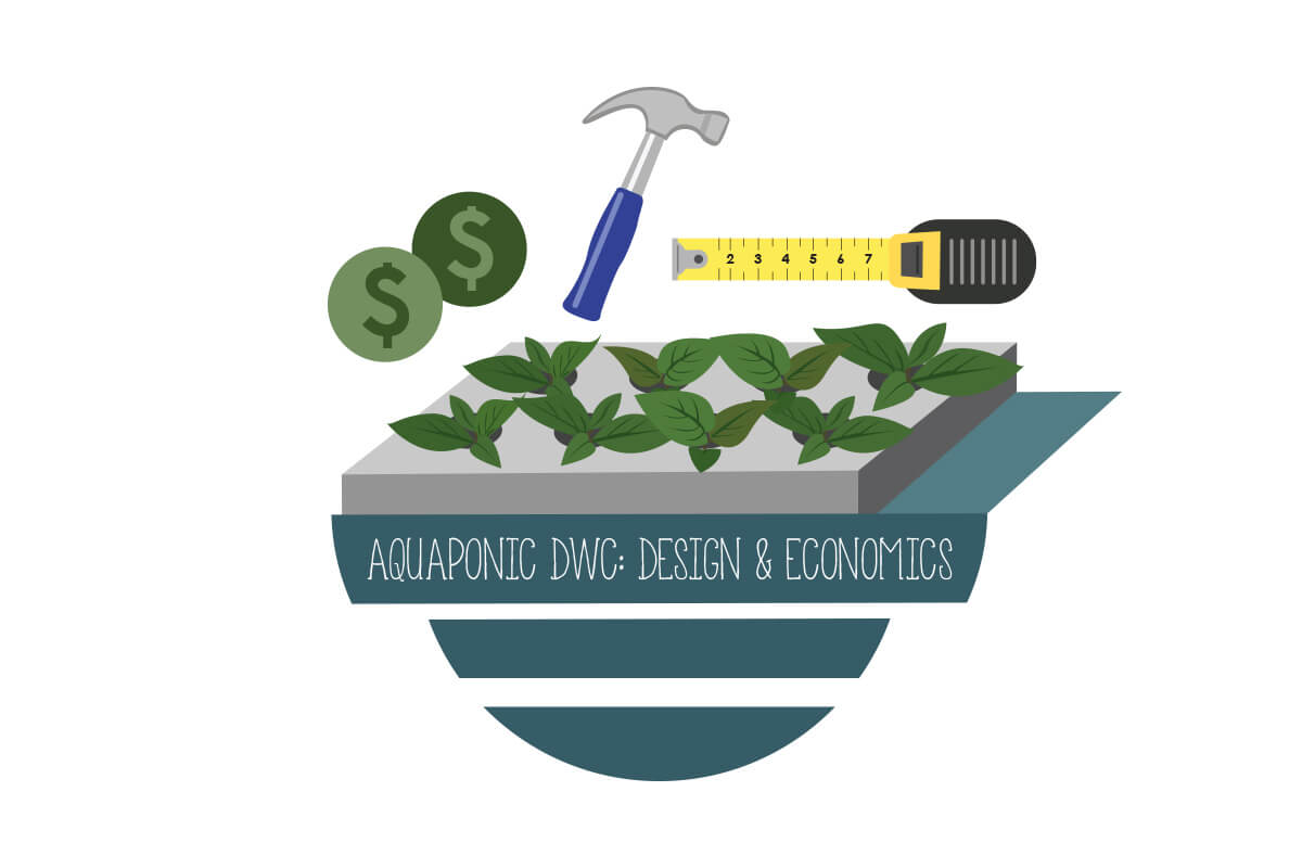 1031: aquaponic dwc: design & economics - upstart university