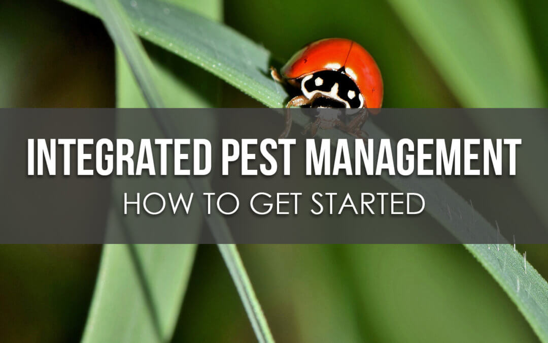 How to Get Started with Integrated Pest Management