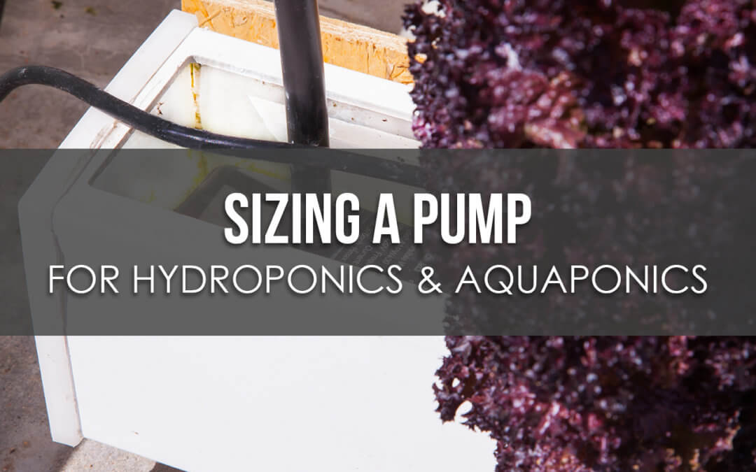 Sizing a Pump for Hydroponics or Aquaponics - Upstart ...