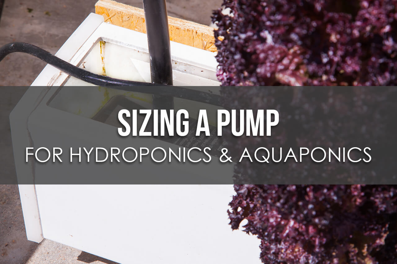 Sizing a Pump for Hydroponics or Aquaponics - Upstart ...