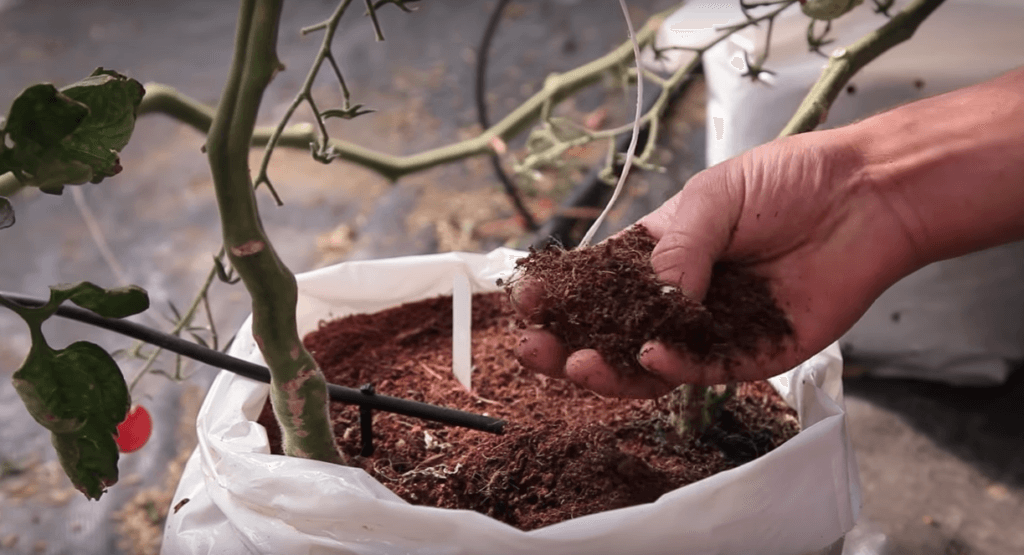 coco coir bag fertigation