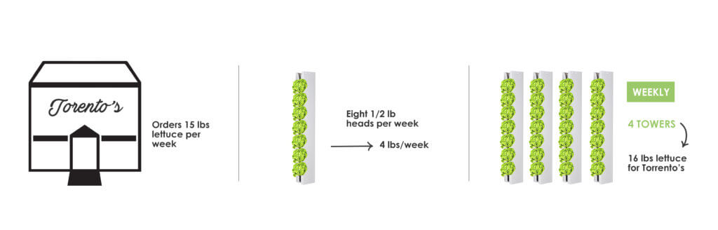 torentos-deli planting schedule