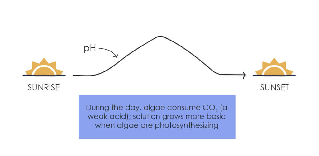 do-ph- manage algae in aquaponics