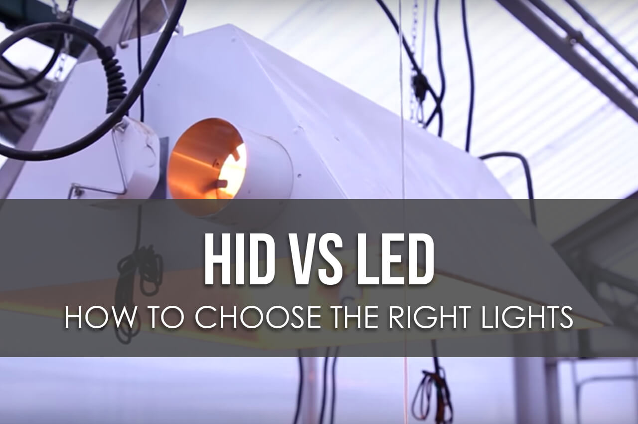 HID vs LED How to Choose the Right Lights for Your Farm Upstart
