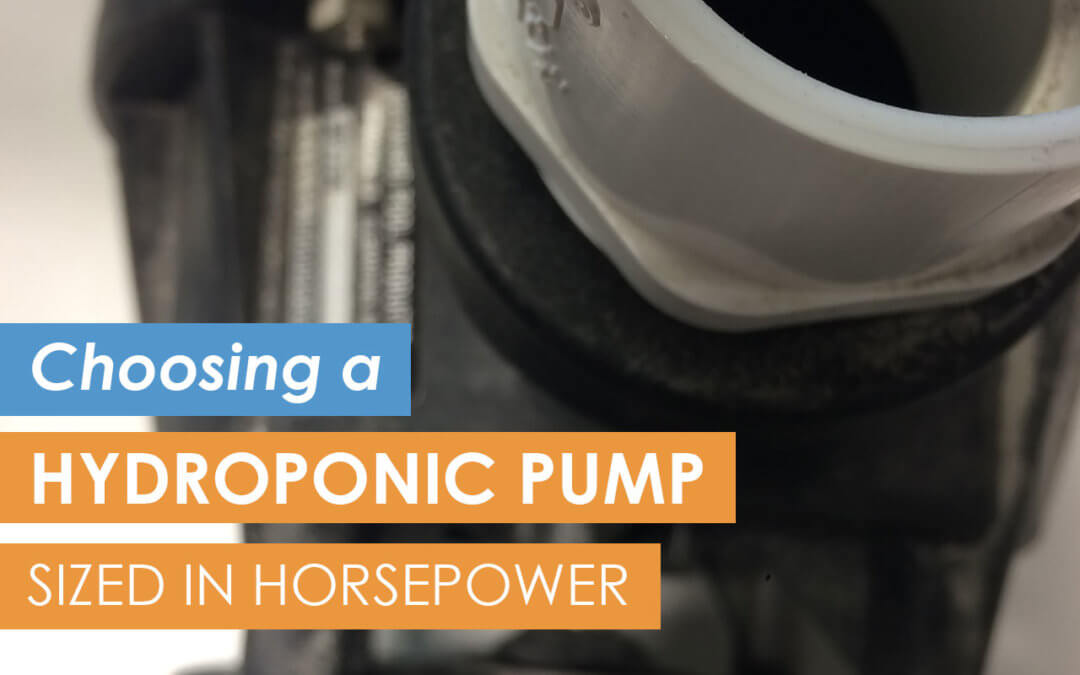 How To Choose a Hydroponic Pump Sized in Horsepower