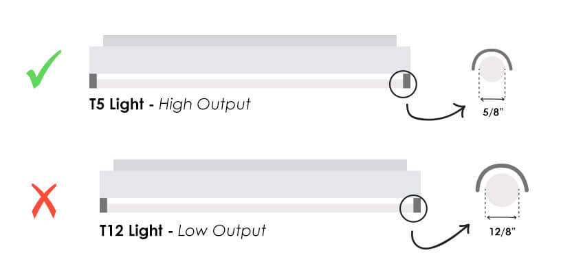 Lighter lower. T12 Light. T12-yh08 t12. Пок-т vs t12. Пусковое устройство Glo t8/t10/t12.