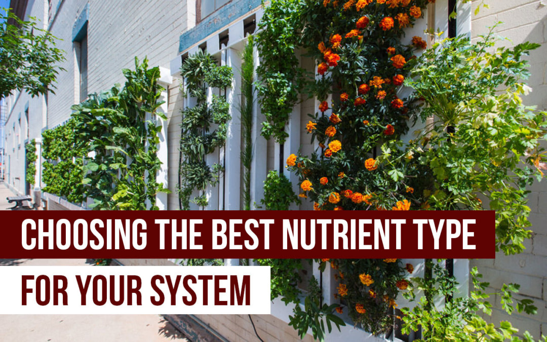 The Best Hydroponic Nutrients For Your System