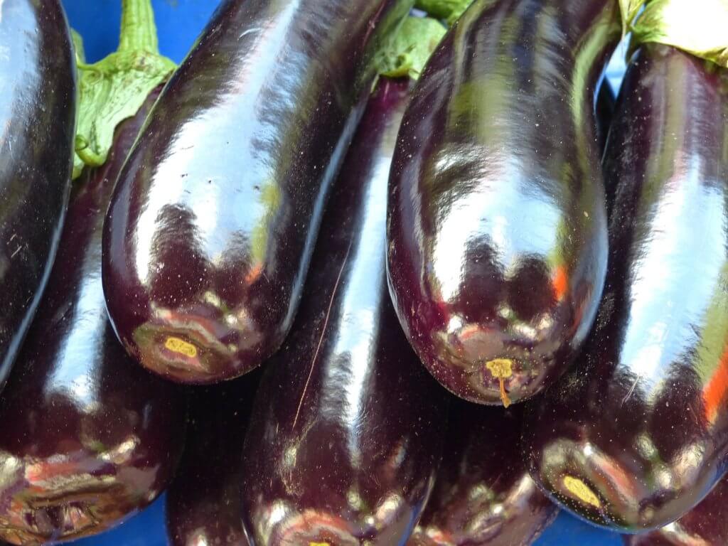 Best plants for Bato Buckets Eggplant