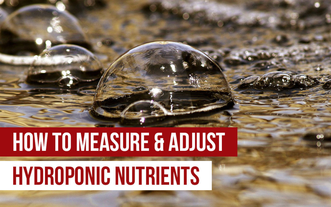 measure & adjust hydroponic nutrients