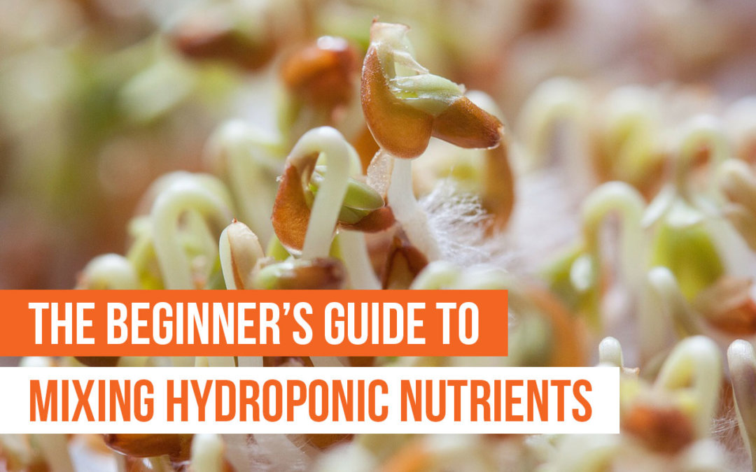 mixing hydroponic nutrients