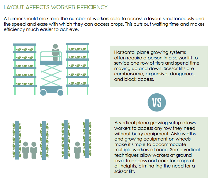Why Vertical Farms Fail forklifts labor and maintenance