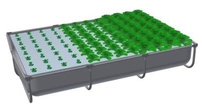 Vegetative Rafts The Best Crops for Raft Systems (DWC) - Upstart University