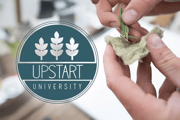 Why Vertical Farms Fail - no education