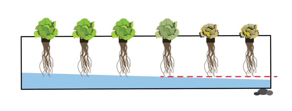 kratky method