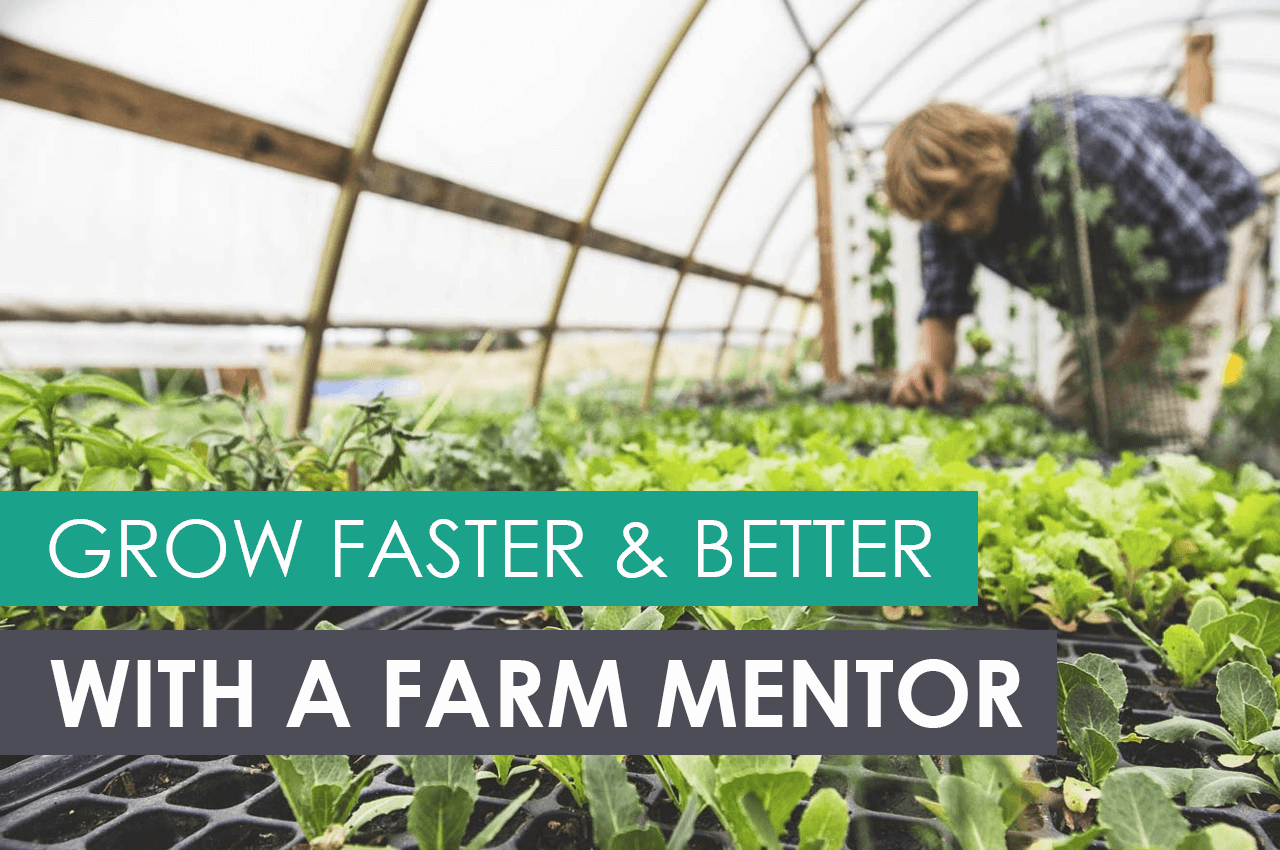Sentor Farm How to Grow Faster & Better with a Farm Mentor - Upstart University