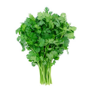 cilantro in hydroponics prefers an EC of 1.6-1.8 and a pH range of 6.5-6.7.