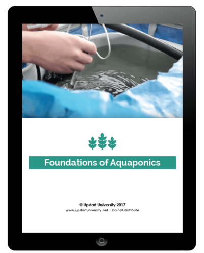 Foundations of Aquaponics