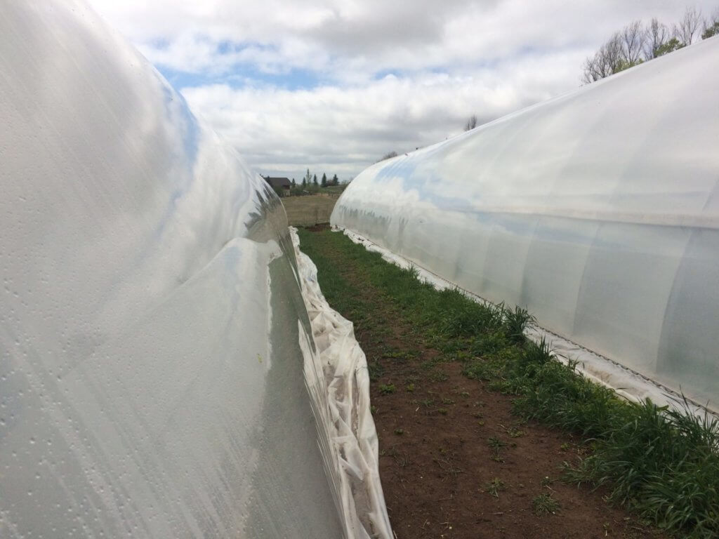 Ways to Upgrade Your Hoop houses double layer poly walls