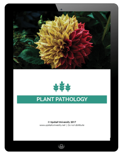 Plant Pathology