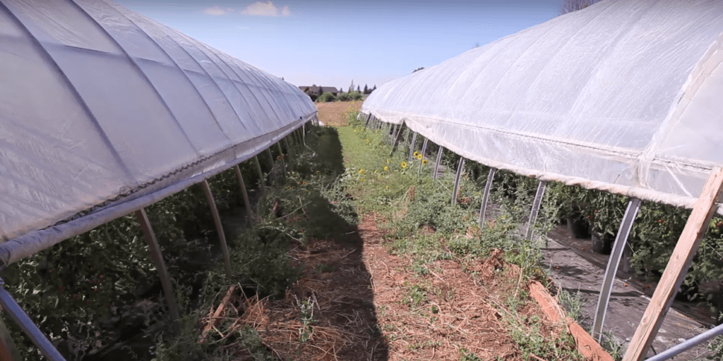 Ways to Upgrade Your Hoop houses Before picture