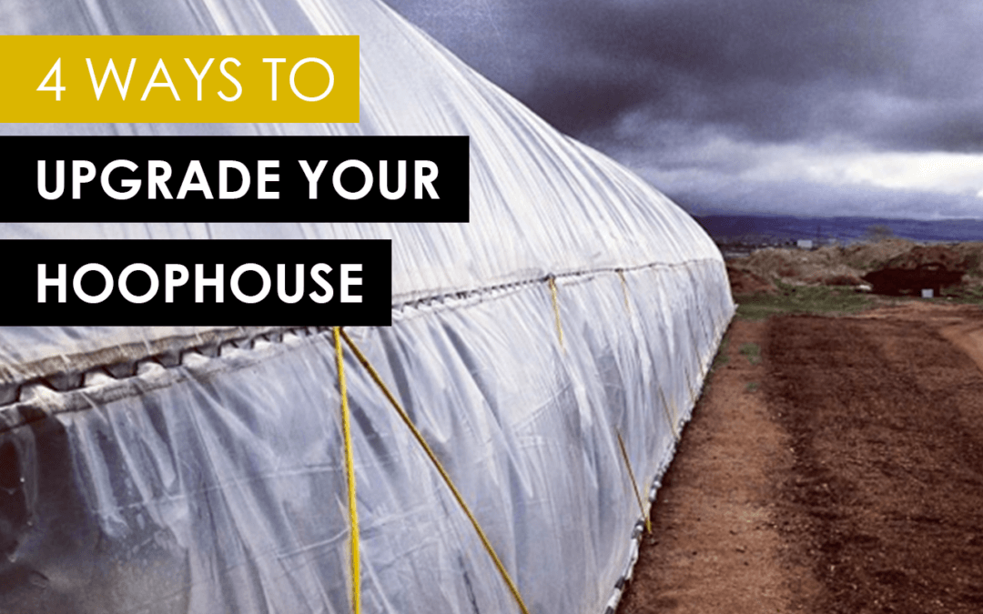 4 Simple Ways to Upgrade Your Hoop Houses this Summer