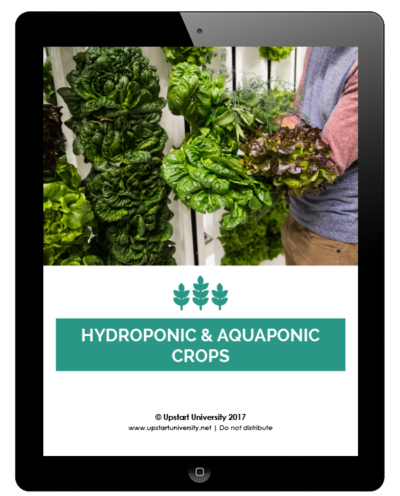 Hydroponic and Aquaponic Crops