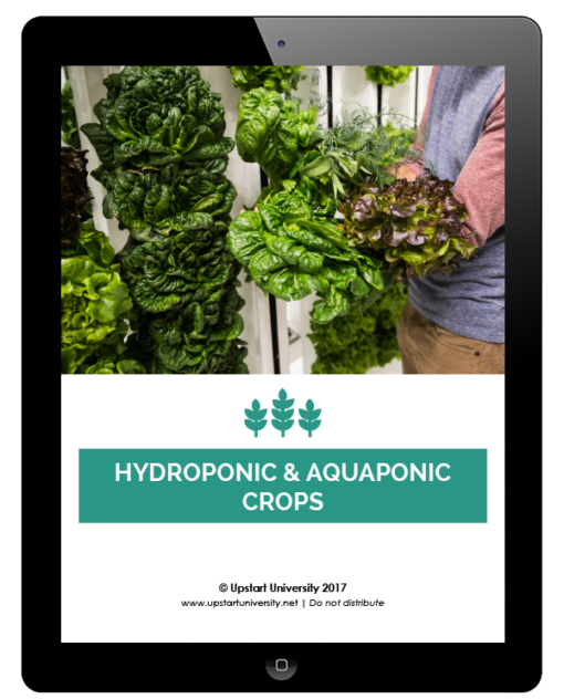 Hydroponic and Aquaponic Crops